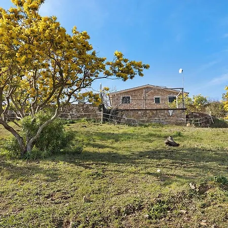 Le Mimose Bilo4 Bis Imperia
