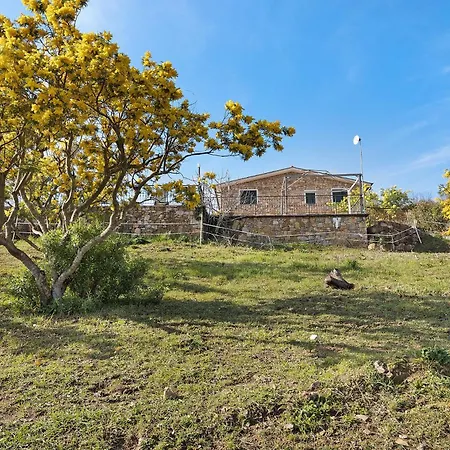 Apartamento Le Mimose Bilo4 Bis